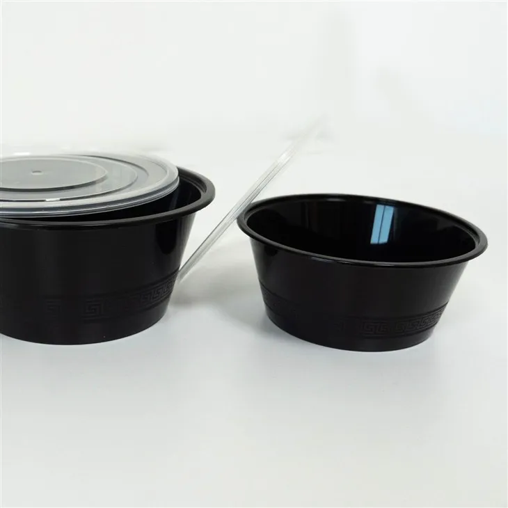 Portable Plastic Bowls - Ideal for Outdoor and Travel Dining (1) Portable Plastic Bowls - Ideal for Outdoor and Travel Dining (1)